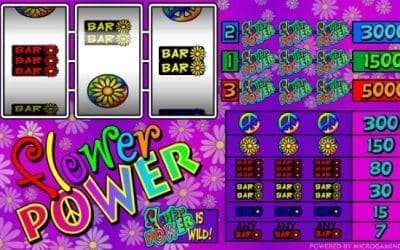 Flower Power and Flying Ace Slot Reviews: Compare Retro 3-Reel Gameplay, Wild Symbols, Flexible Paylines and Jackpots Up to 30,000 Credits
